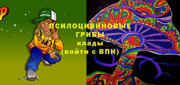 молекула духа Лагань